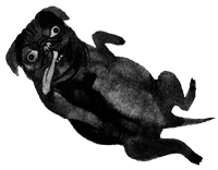 Подземелья Дикого леса - i_048.png