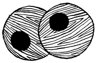 Подземелья Дикого леса - i_061.png