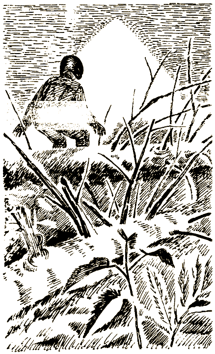 Пришельцы из космоса - i_009.png