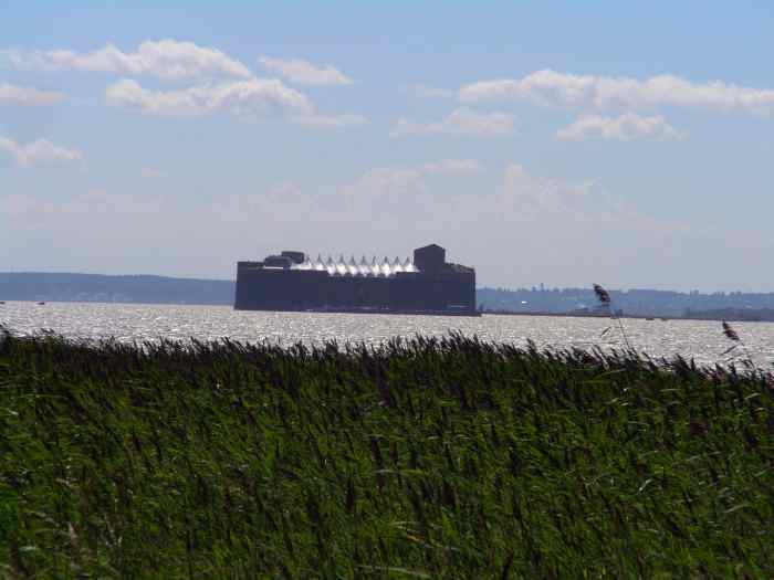 Очерки истории чумы (фрагменты) - _44.jpg