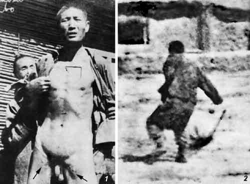 Очерки истории чумы (фрагменты) - _120.jpg