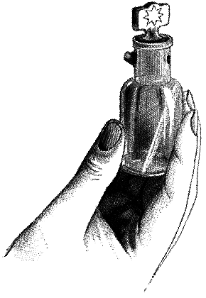 Дьявольский эликсир (сборник) - i_002.png