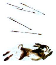 Скифы в остроконечных шапках (илл. В. Хвостова) - pic_56.jpg