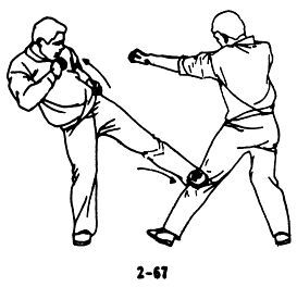 Техника самообороны дуаньда. 84 приема самозащиты - _67.jpg