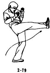 Техника самообороны дуаньда. 84 приема самозащиты - _79.jpg
