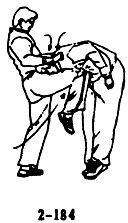 Техника самообороны дуаньда. 84 приема самозащиты - _184.jpg