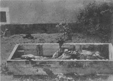 Человек за спиной Гитлера - img2B65.png