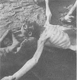 Человек за спиной Гитлера - img975.png