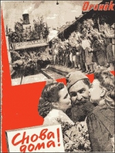  Бернет Дана - Скрытые импульсы