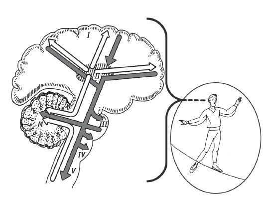 Скрытые возможности нашего мозга - i_001.jpg