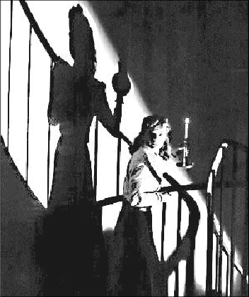 Формулы страха. Введение в историю и теорию фильма ужасов - i_015.png