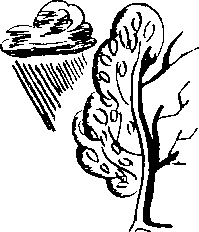 Снег в сентябре - i_005.jpg