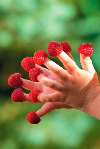 Теперь я ем все, что хочу! Система питания Давида Яна - _01.jpg