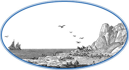 Моя жизнь - i_034.jpg