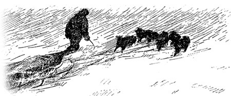 Северный полюс. Южный полюс - i_021.jpg