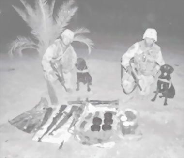 Оружие современных войн. Боеприпасы, системы управляемого вооружения и меры противодействия их применению - i_026.jpg