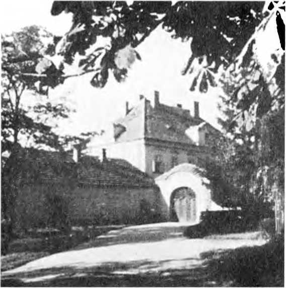 Райнхард Гейдрих — паладин Гитлера<br />(сборник) - i_025.jpg