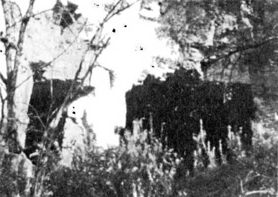 Райнхард Гейдрих — паладин Гитлера<br />(сборник) - i_032.jpg