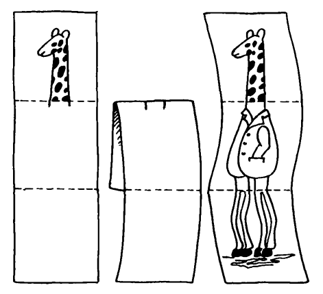 Головоломки профессора Головоломки. Сборник загадок, фокусов и занимательных задач - i_002.png