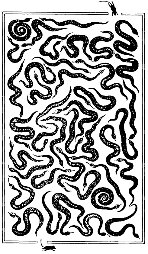 Головоломки профессора Головоломки. Сборник загадок, фокусов и занимательных задач - i_026.png