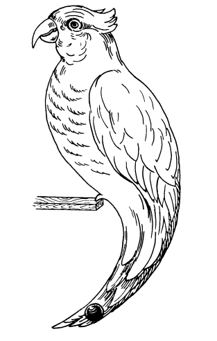 Головоломки профессора Головоломки. Сборник загадок, фокусов и занимательных задач - i_096.png