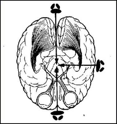 Тайны Майя - i_117.jpg