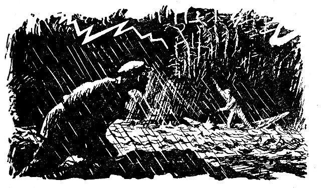 Инсуху - маралья вода - pic_2.jpg