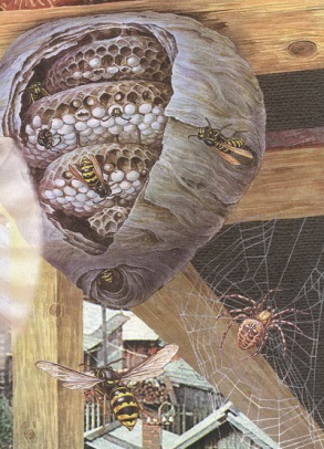 Великан на поляне или первые уроки экологической этики - _28.jpg