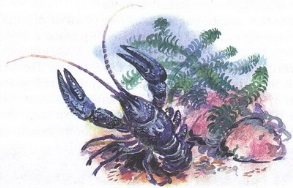 Великан на поляне или первые уроки экологической этики - _37.jpg