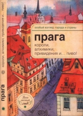 Прага: короли, алхимики, привидения и пиво! - автор Розенберг Александр Н. 