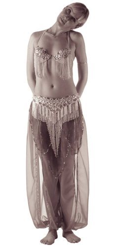 Самоучитель по танцу живота - i_002.jpg