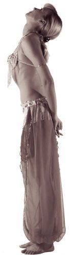 Самоучитель по танцу живота - i_004.jpg