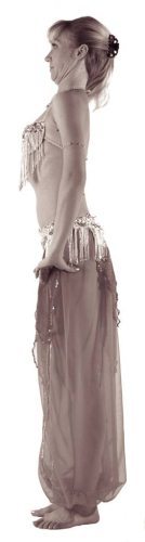 Самоучитель по танцу живота - i_014.jpg