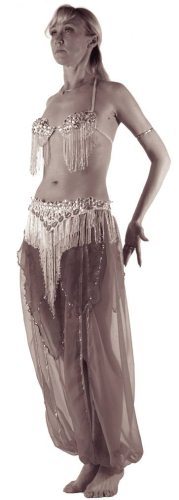 Самоучитель по танцу живота - i_064.jpg