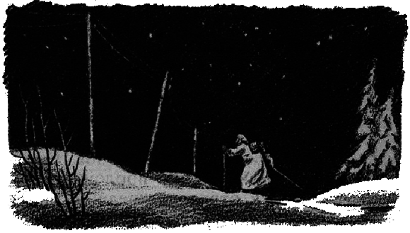 Дом с мезонином - i_002.png