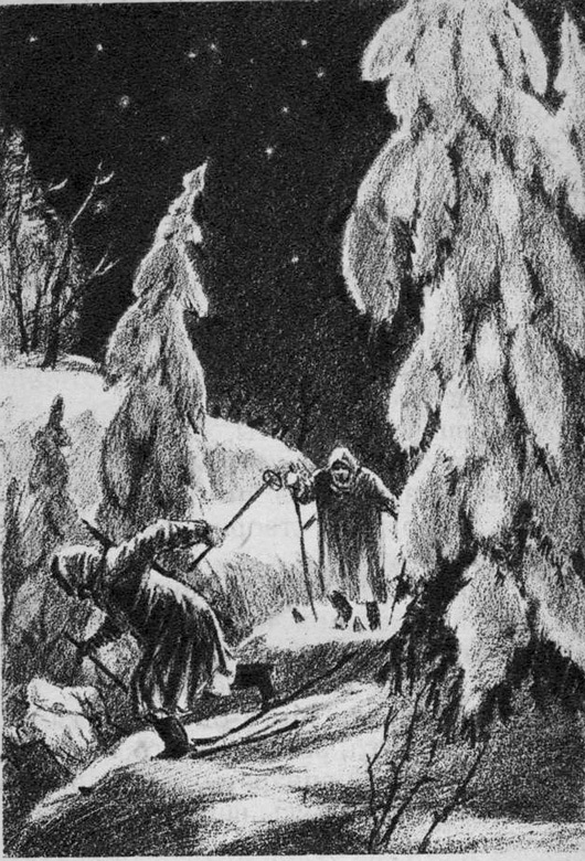 Дом с мезонином - i_004.jpg