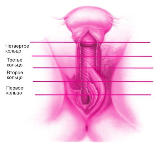 Искусство быть женщиной - i_008.jpg