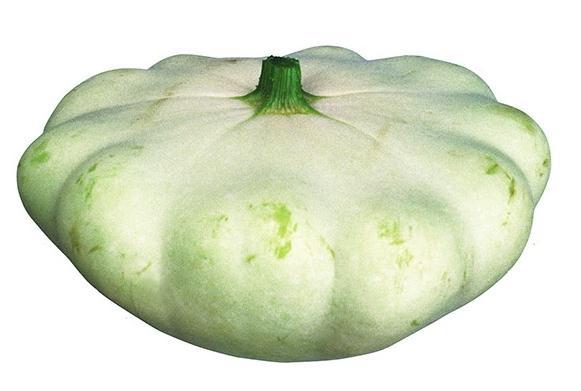 Зачем живут патиссоны? - _30.jpg