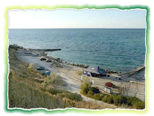 Зачем живут патиссоны? - _50.jpg