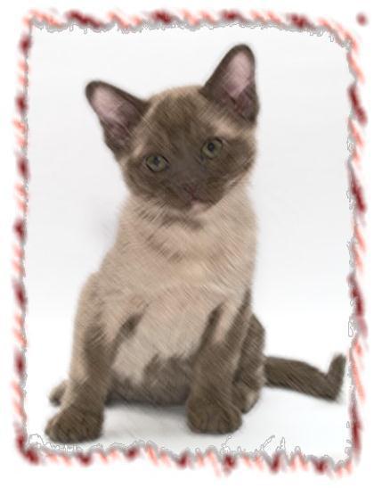 Зачем живут патиссоны? - _12.jpg