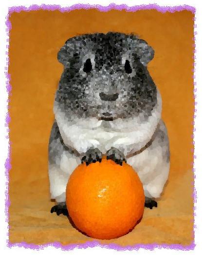 Зачем живут патиссоны? - _17.jpg