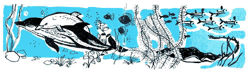 Белый лоцман - Mother.png