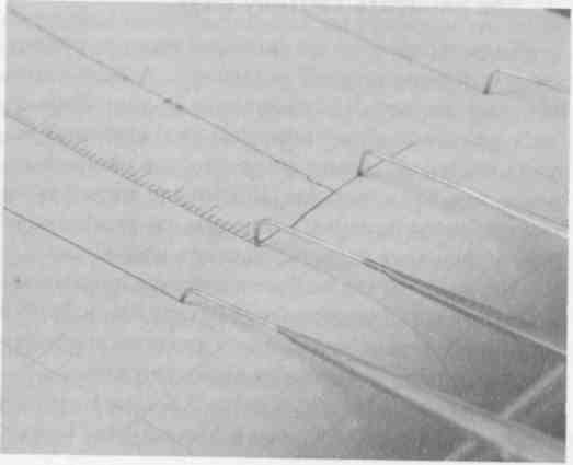 «Сон — тайны и парадоксы» - Any2FbImgLoader1