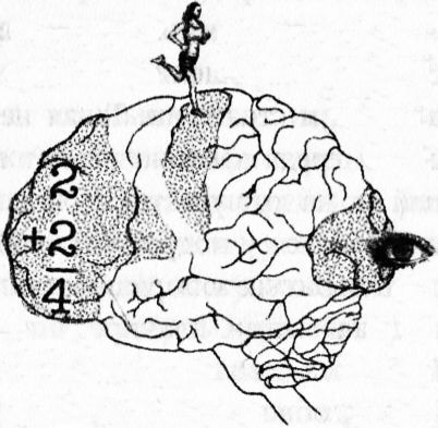 Мозг онлайн. Человек в эпоху Интернета - i_006.jpg