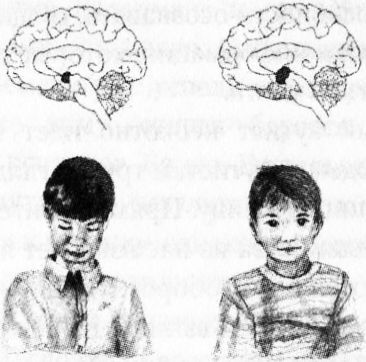 Мозг онлайн. Человек в эпоху Интернета - i_013.jpg