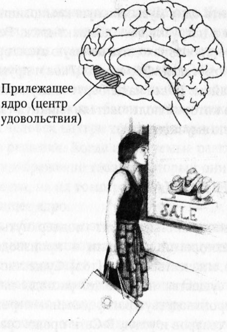 Мозг онлайн. Человек в эпоху Интернета - i_015.jpg