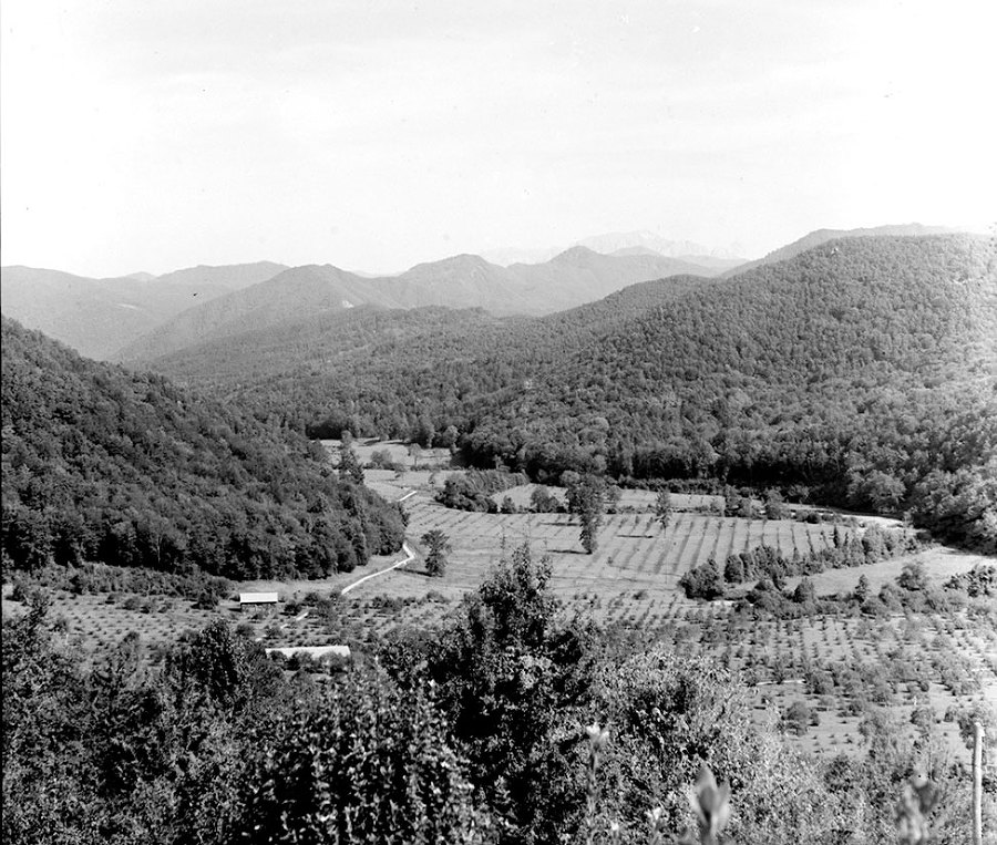 Всё о Сочи. История и достопримечательности - i_024.jpg