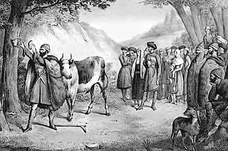 Всё о Сочи. История и достопримечательности - i_035.jpg