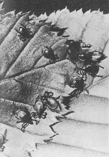 Тайные тропы носителей смерти - _14.jpg