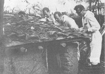 Тайные тропы носителей смерти - _26.jpg